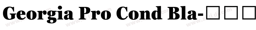 Georgia Pro Cond Bla字体转换